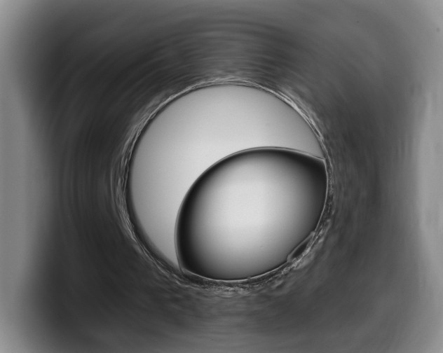 X0000099970193200805231009