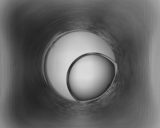 X0000099970195200805231009