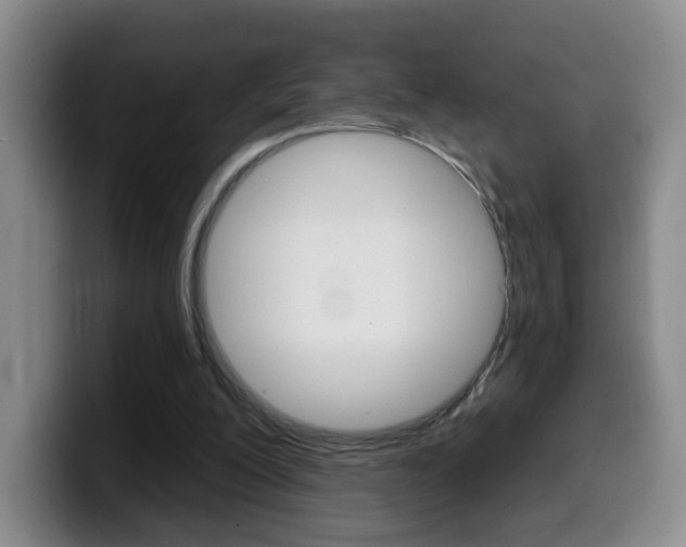 X0000099970200200805231009