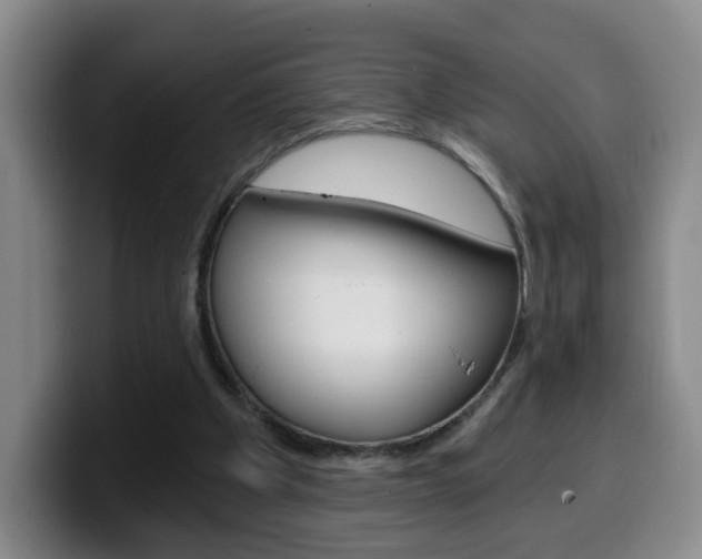 X0000099970201200805231009