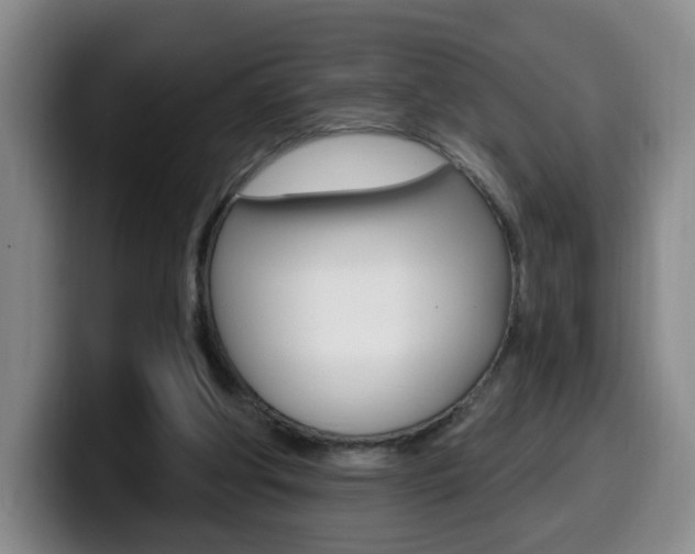 X0000099970202200805231009