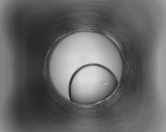 X0000099970203200805231009