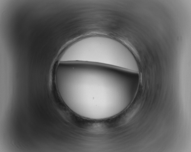 X0000099970204200805231009
