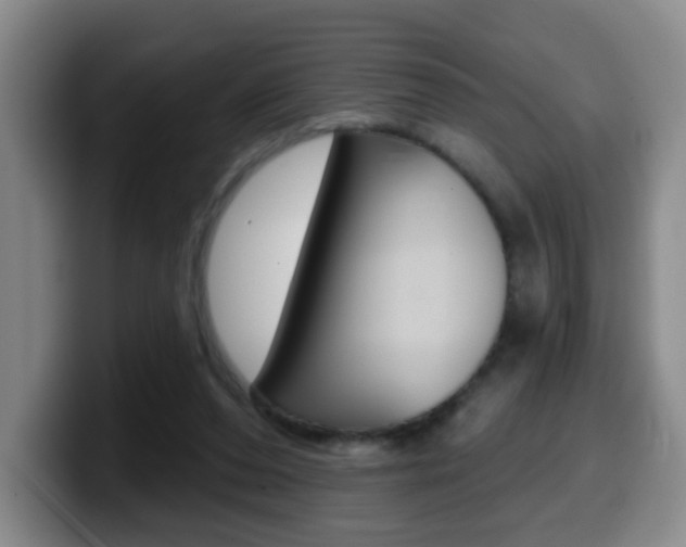 X0000099970208200805231009