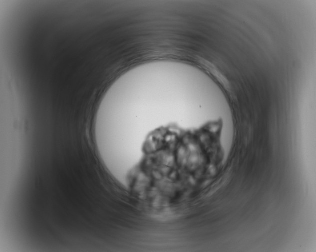 X0000099970209200805231009