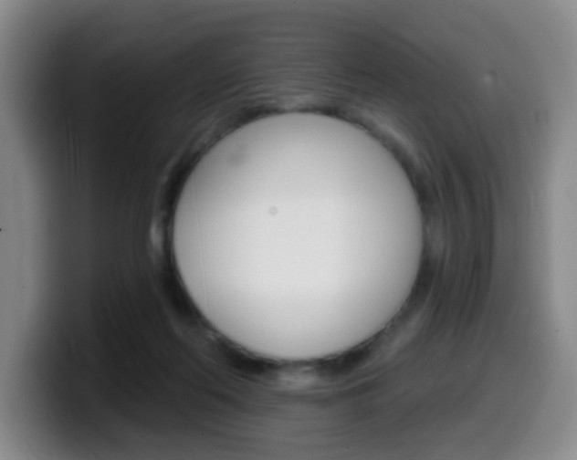 X0000099970214200805231009