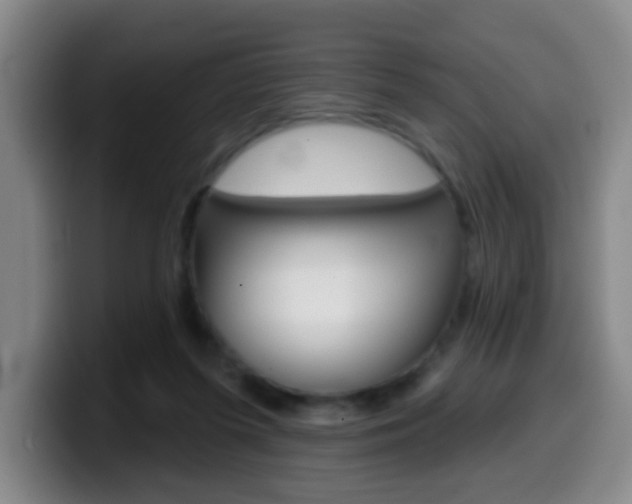 X0000099970215200805231009