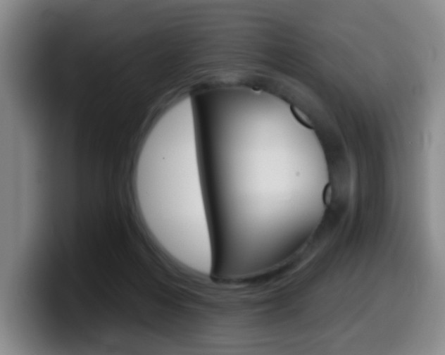 X0000099970216200805231009