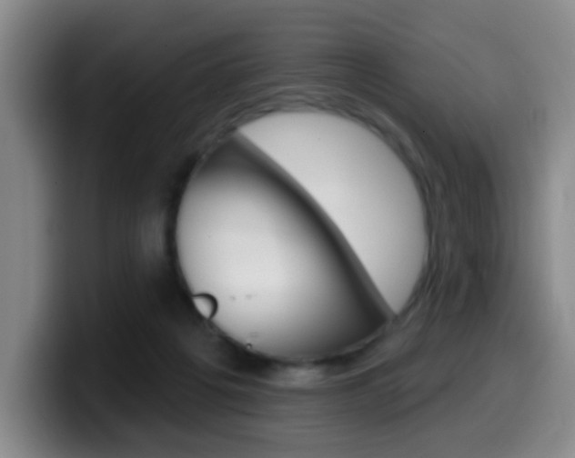 X0000099970217200805231009