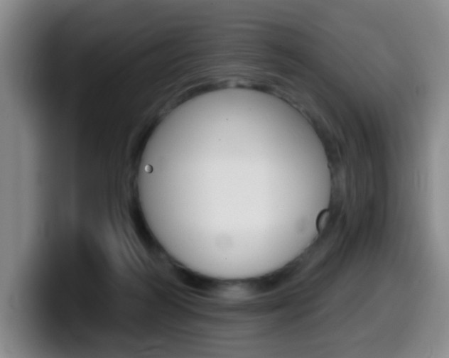 X0000099970218200805231009