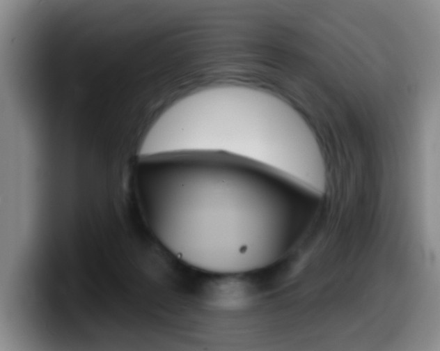 X0000099970219200805231009