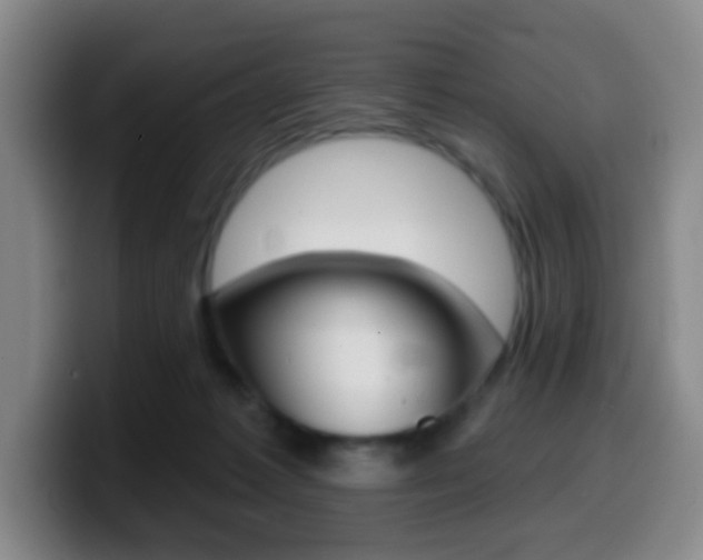 X0000099970221200805231009