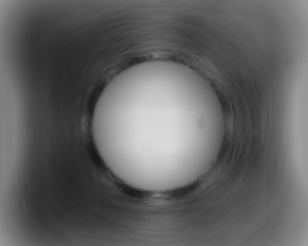 X0000099970222200805231008