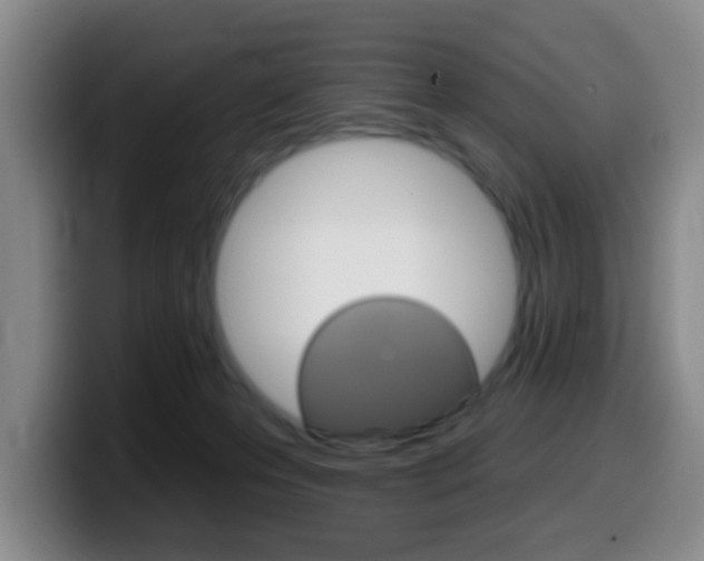 X0000099970223200805231008