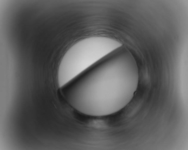 X0000099970224200805231008