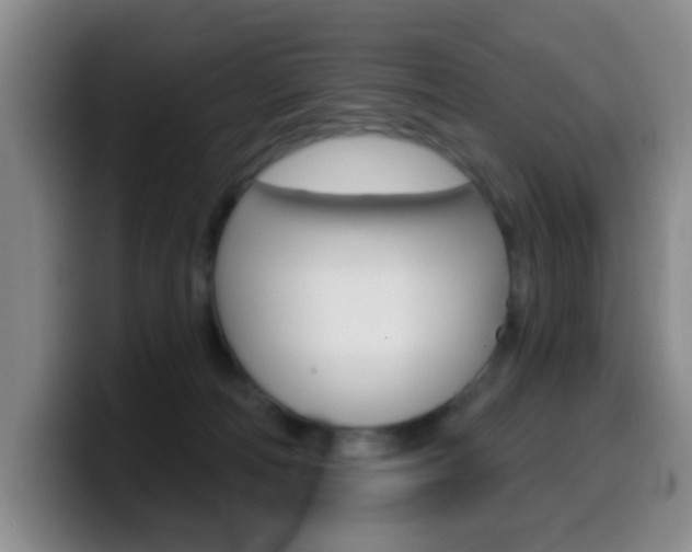 X0000099970226200805231008