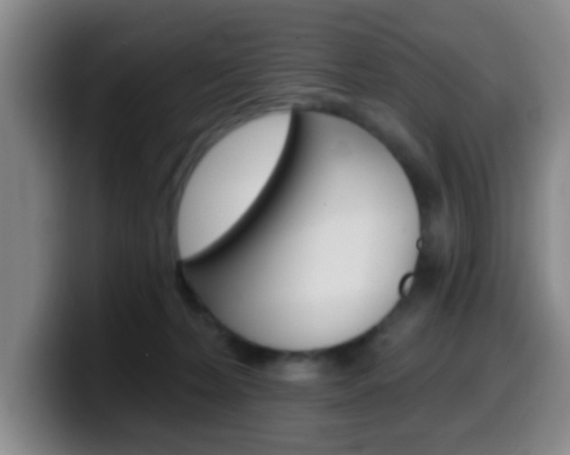 X0000099970228200805231008