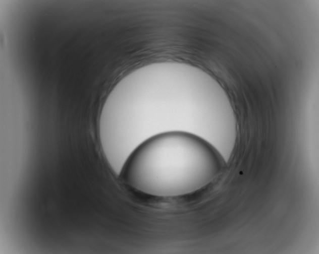 X0000099970229200805231008