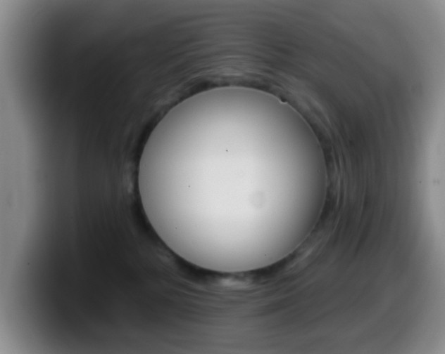 X0000099970232200805231008