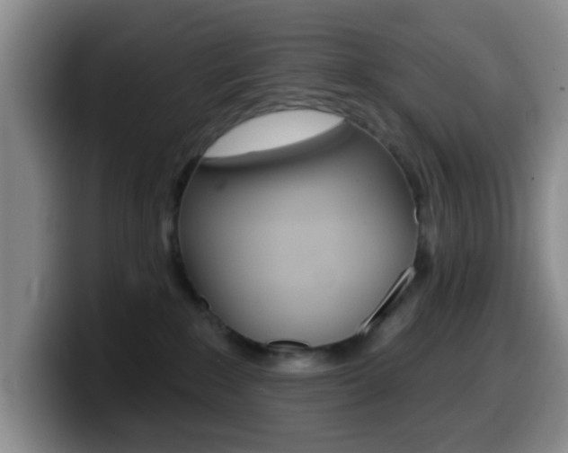 X0000099970235200805231008
