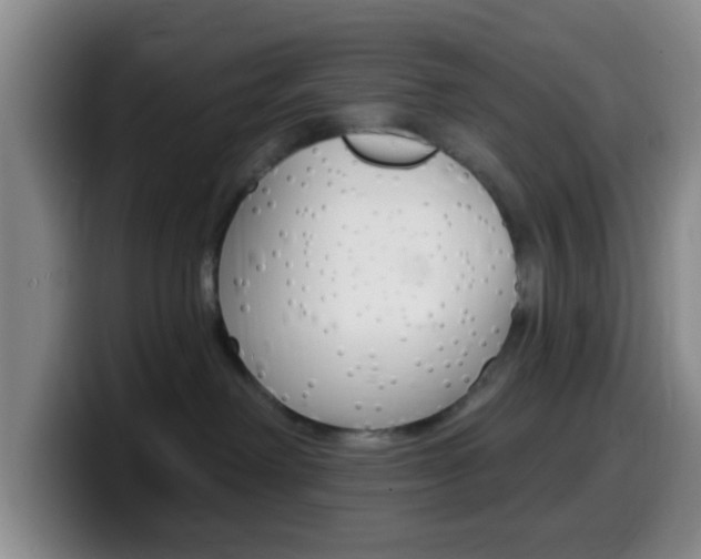 X0000099970238200805231008