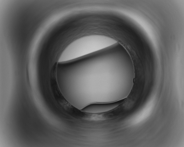 X0000099970239200805231008