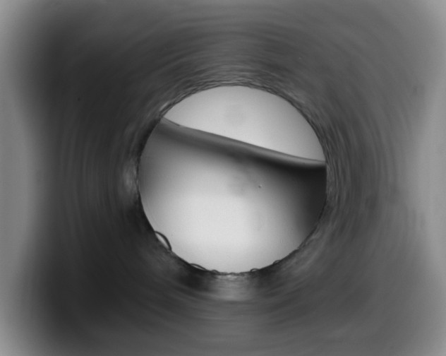 X0000099970240200805231008
