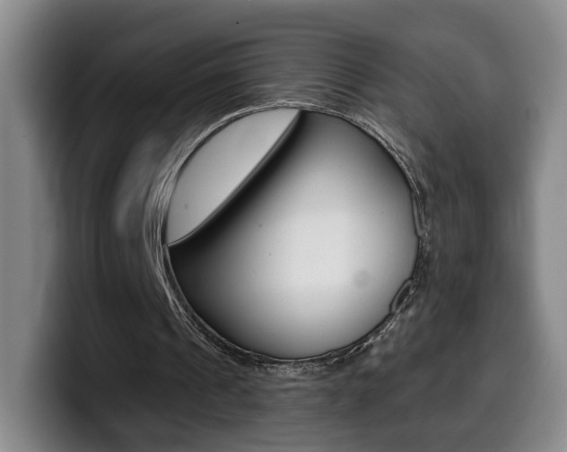 X0000099970241200805231008