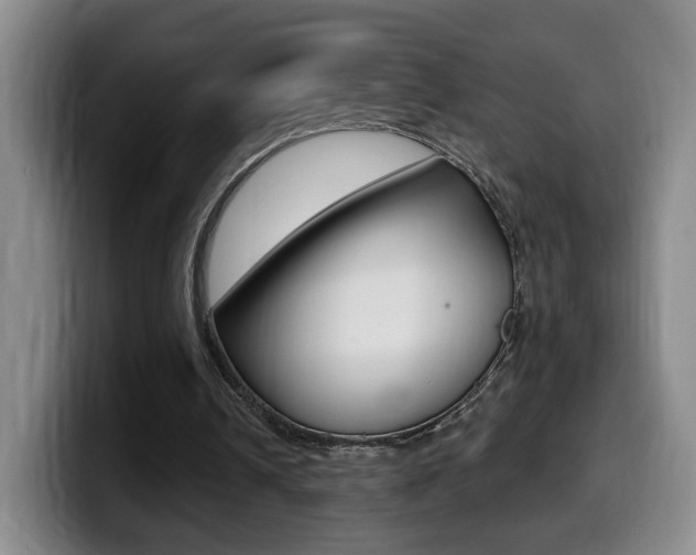 X0000099970242200805231008