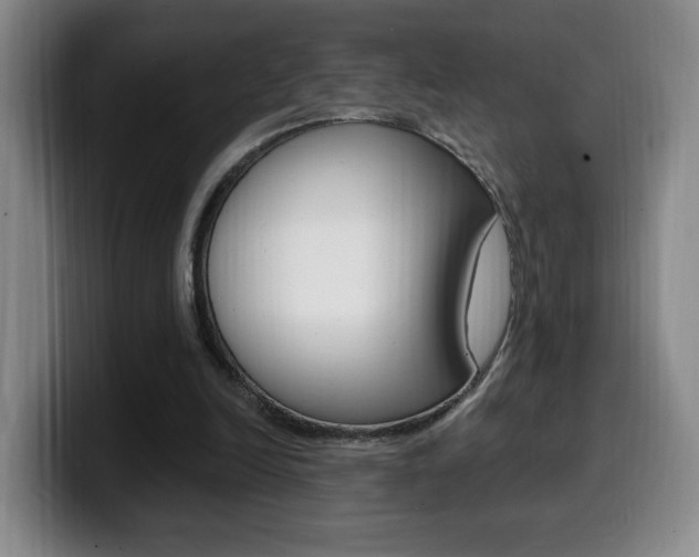 X0000099970246200805231008