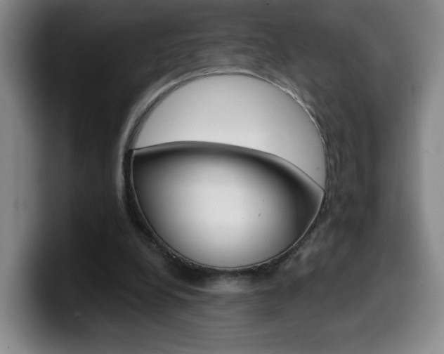 X0000099970248200805231008