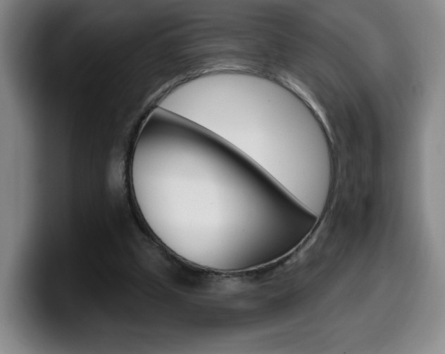 X0000099970249200805231008
