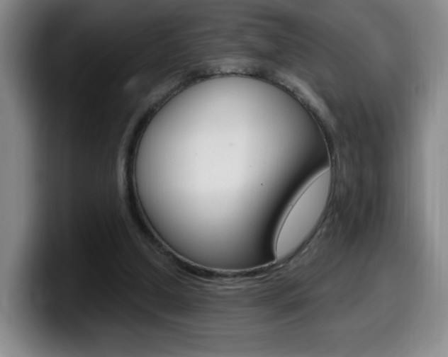 X0000099970250200805231008