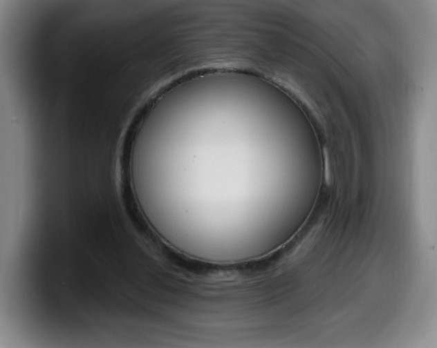 X0000099970252200805231008