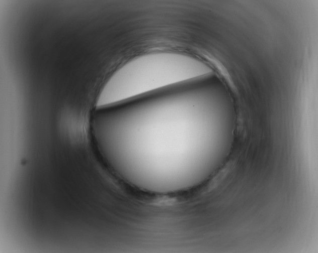 X0000099970257200805231008