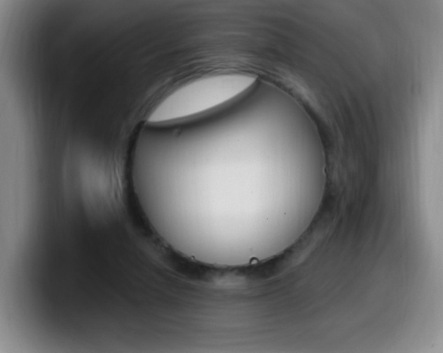 X0000099970258200805231008