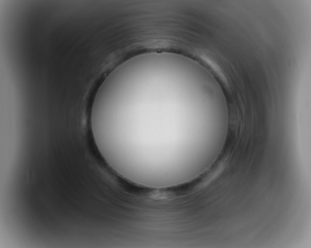 X0000099970261200805231008