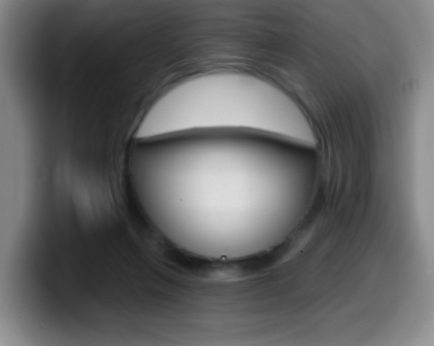 X0000099970263200805231008