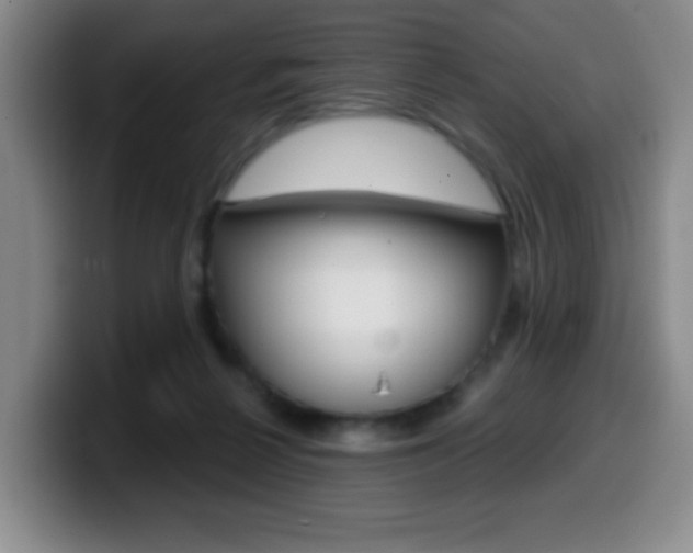 X0000099970264200805231008