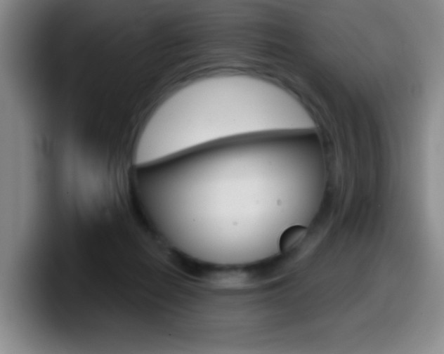 X0000099970266200805231008