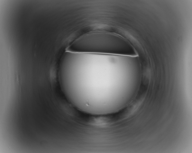 X0000099970268200805231008