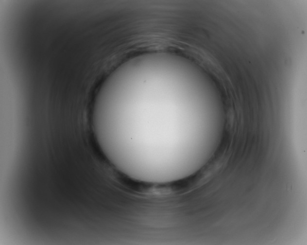 X0000099970270200805231008