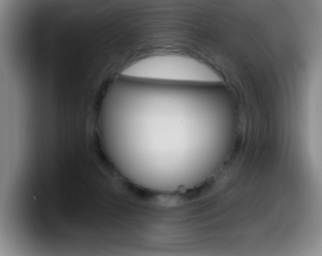 X0000099970272200805231008