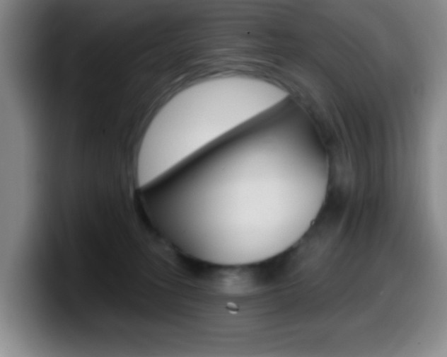 X0000099970275200805231008