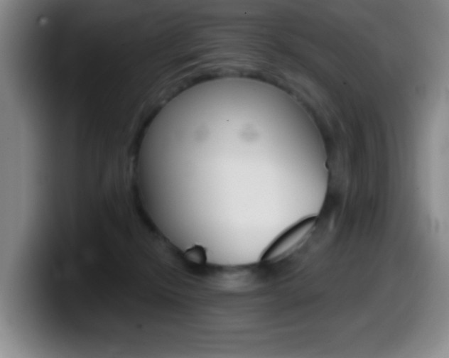 X0000099970278200805231008