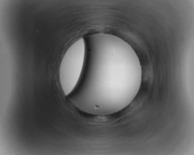 X0000099970279200805231008