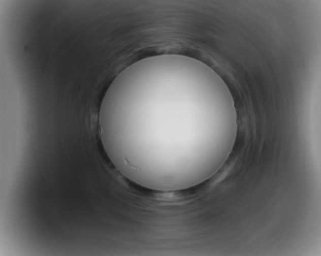 X0000099970281200805231008