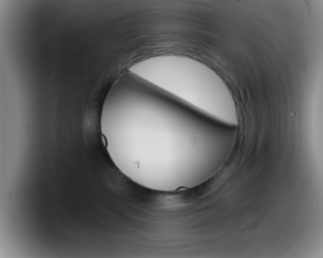 X0000099970283200805231008