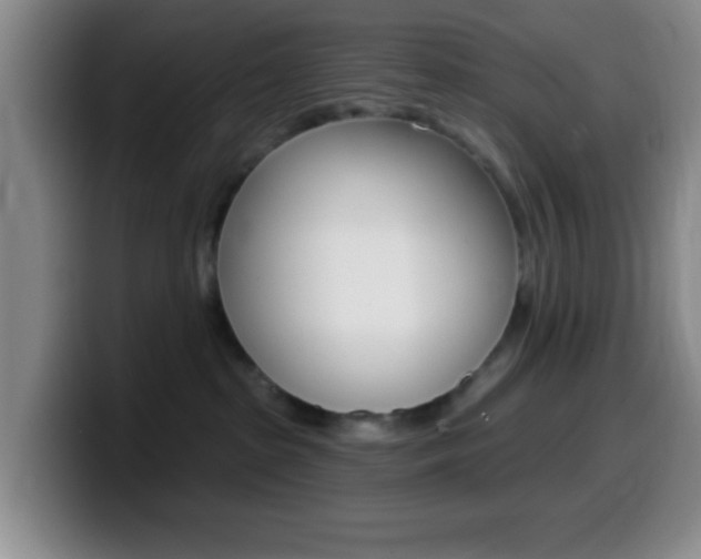 X0000099970285200805231008