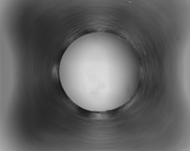 X0000099970286200805231008